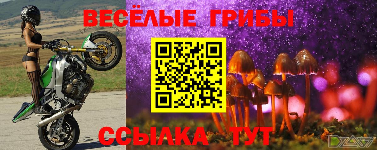 сколько стоит  Псилоцибиновые грибы мицелий  Вход с VPN  Белая Калитва 