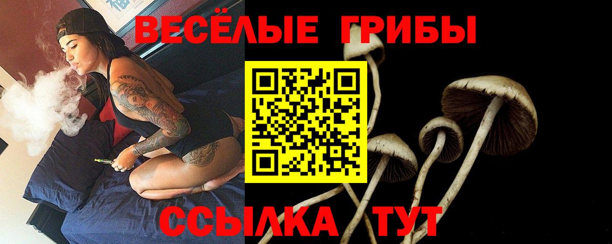 Галлюциногенные грибы GOLDEN TEACHER Белая Калитва
