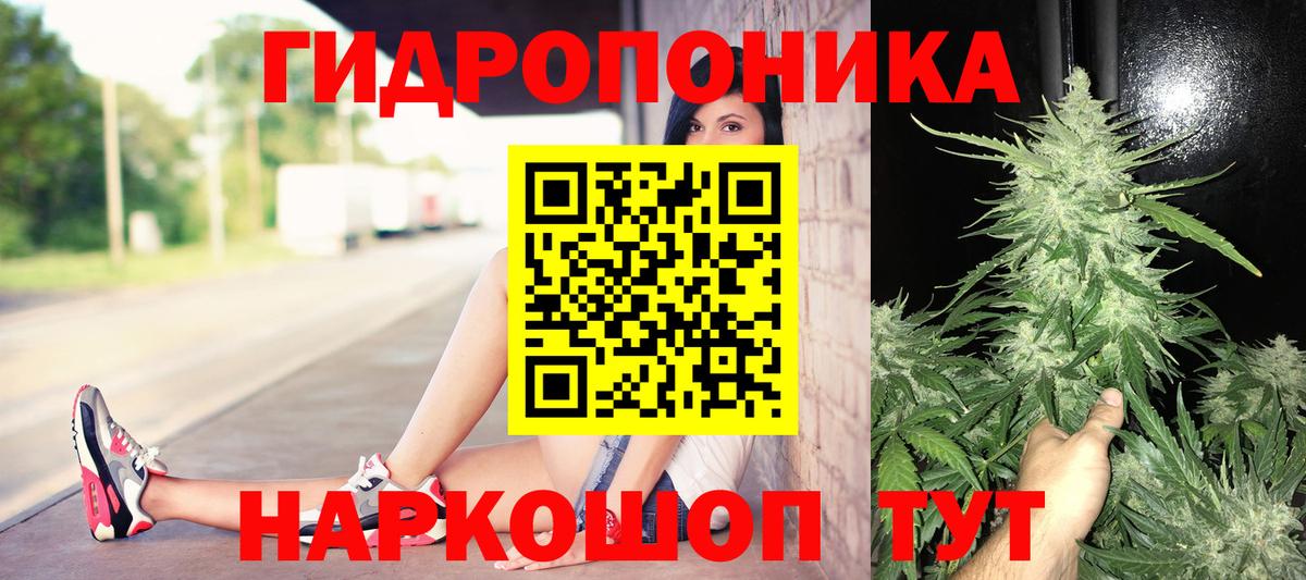 Конопля ГИДРОПОН  Вход с VPN  Канабис THC 21%  Белая Калитва  Канабис THC 21% 